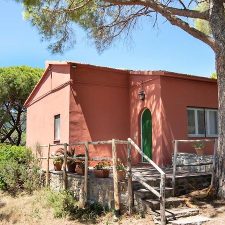 Tenuta Le Rocchette Rocchette  Exterior photo